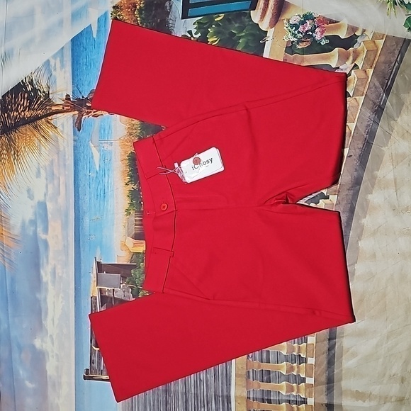 iChosy Comfort Barely Bootcut Stretch Red Dress Pants Size 4 NWT - Picture 3 of 8